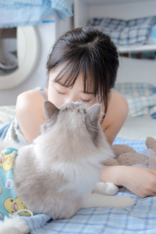 大地资源影视在线播放